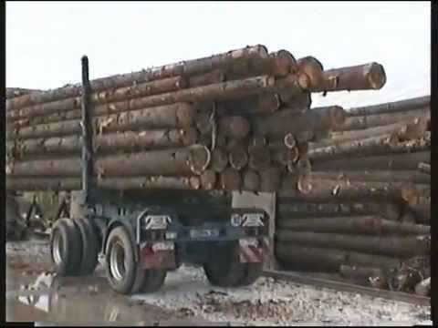 Iveco Turbostar Holztransporter