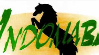 Indomable de Chihuahua Amiga Mia.flv