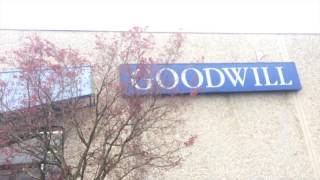 Game Hunting in Seattle Thrift Stores - Goodwill Hunting
