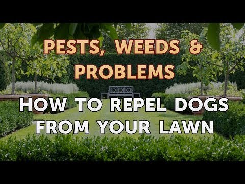 How to Repel Dogs From Your Lawn