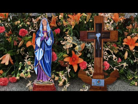 Santa Missa 8ª Semana do Tempo Comum (30.05.2026) Pe. Raniery Alencar.