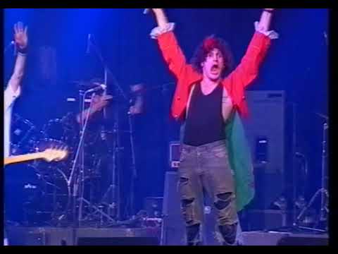 Das Fest  / Jahre  HBW 18.11.1994   Heiter bis Wolkig,Klaus der Geiger,Dödelheie,Mimmi`s u,a.