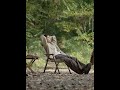 Кресло складное Naturehike CNK2550JJ010, сталь, бежевый