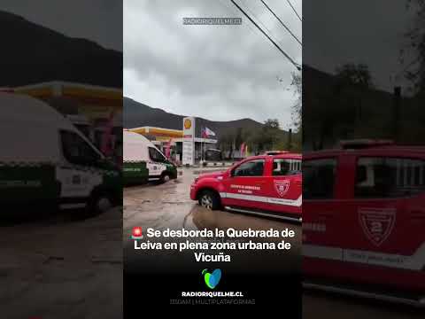 🚨 Se desborda la Quebrada de Leiva en plena zona urbana de Vicuña #shorts #viralvideo