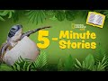 5 Minute Stories Book Read Along A Baby Sea Turtle S Journey Natgeokids