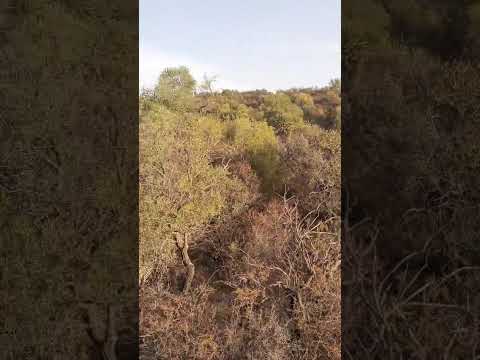 Dueño vende Campo de 18 ha en Leandro N. Alem – Ideal turismo, chacras o producción