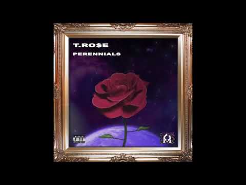 T. Ro$e - Rose Baby Intro (Visualizer)