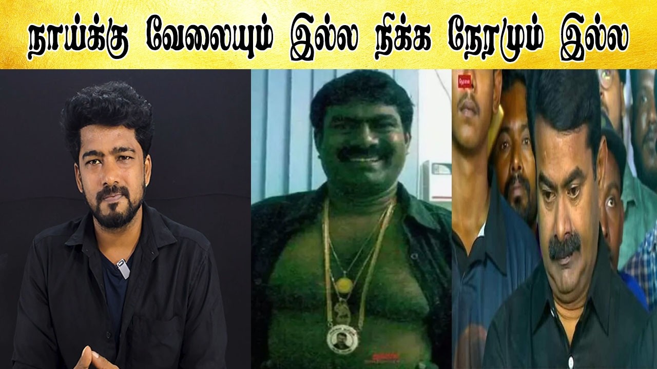 நாய்க்கு வேலையும் இல்ல நிக்க நேரமும் இல்ல  - Tamil light