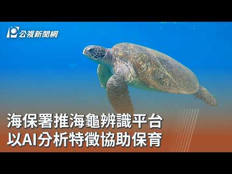 youtube影片