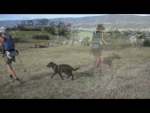 2022 06 22 Video Walk Recall