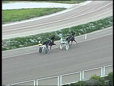 Trotto 20/03/2016 - prova di qualifica