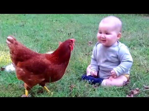 Les bébés et les animaux deviennent instantanément les meilleurs amis du monde