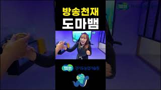 곤충 도슨트 투어에서 생긴 일...