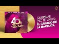 QUIÉREME (No TE Vayas) 💓 - El Gringo De La Bachata [Audio Cover] 🥳 #40