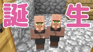 【マインクラフト】#7 ドア設置で村人増殖！ 【女性実況】