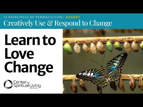 Learn to Love Change