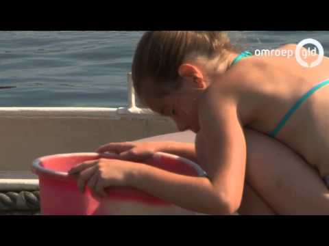 Goede Zomers Slechte Zomers  3 augustus 2013