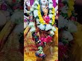 Tu Jo De De Sahara Sukh Jeevan Ka Sara Short Ma Durga Navrayri Especial