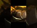 Yhwach Cold Moment Ichigo Vs Yhwach Fight Bleach Thousand Years Blood War The Conflict Amv