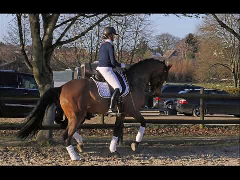 Fiesta del Sol v. Fürstbischof - Sancisco OLD - Ex Libris - Askan