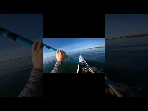 Training with the guys 🥵 #brest #surfski #bretagne #kayak #training #sports #outdoors