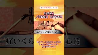 【歌ってみた】きゃがわの歌ってみた「PHOENIX／BURNOUT SYNDROMES」#歌ってみた #phoenix #burnoutsyndromes #ハイキュー #バレーボール日本代表