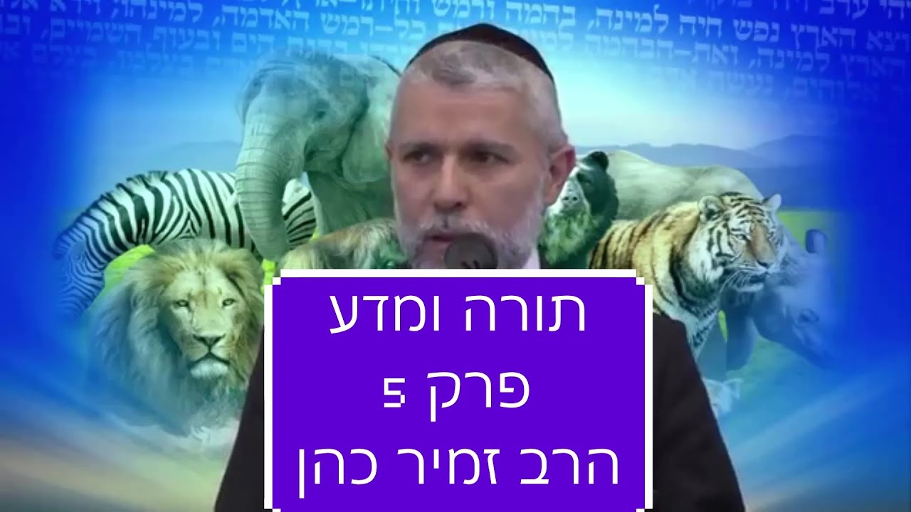 פרק 5
