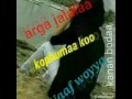 Argaa Jaalalaa Soobaa