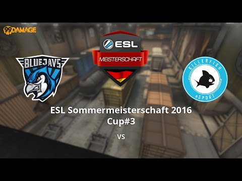 BLUEJAYS vs. KILLERFISH eSport | ESL Sommermeisterschaft 2016 Cup #3 | de_train