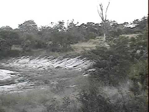 Leopard Charges Impala Herd - Djuma - Mar 14, 2014