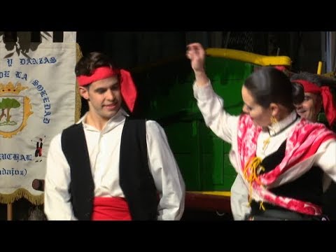 Jota de las ovejitas | Lo que te rondaré