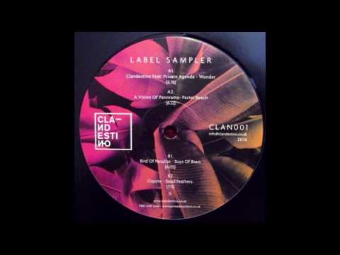 Clandestino feat Private Agenda - "Wonder"