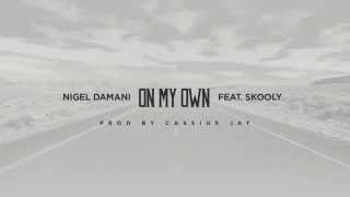 Nigel Damani Feat. Skooly - On My Own (Audio)