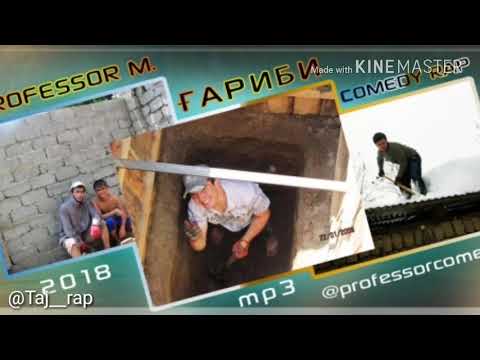 Professor m Гариби