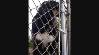 Let It Go, An Original Song By Sara Mary