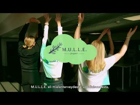 S.U.L.L.E.-M.U.L.L.E.-video