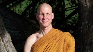 A Reflection on Life & Career, with Ajahn Chandako