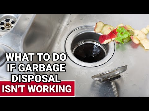 What To Do If Garbage Disposal Isn't Working - Ace Hardware
