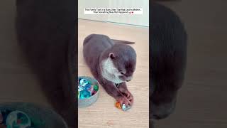 This Family Took in a Baby Otter That Had Lost Its Mother... Then Something Beautiful Happened.