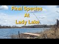 Video Thumbnail for Final Species At Lady Lake.