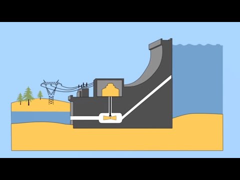 Cómo signar Hidroelectricidad en LSE