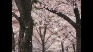 Hollow no more - Brian Mcfadden and Delta Goodrem