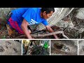 Archeology In La Roqueta Island Ancient Civilizations