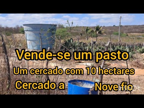 Vende-se um pasto sítio prata município de desterro PB 👍🤝🤣🎉