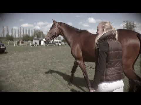 Love requires sacrifice - always ♥ / RIP 19.03.2020