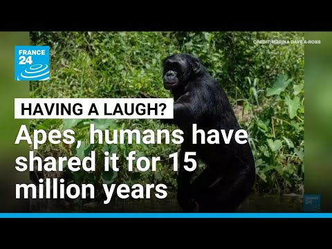 Humans and apes have shared a laugh for 15 million years, says study