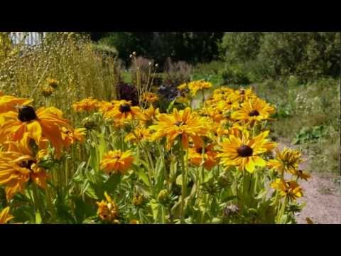 19 augusti - årets varmaste dag!