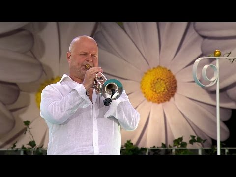 Magnus Johansson framför Nessun dorma på Lotta på Liseberg 2017 - Lotta på Liseberg (TV4)
