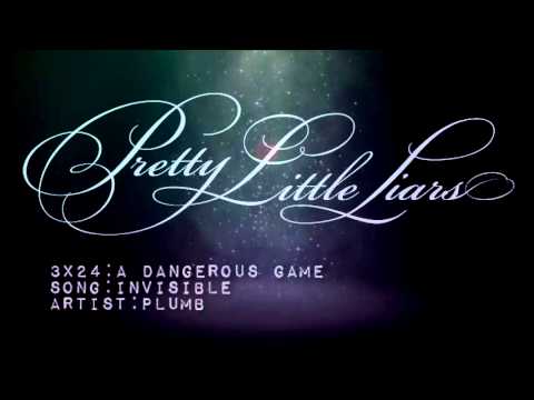 PLL 3x24 Invisible -  Plumb