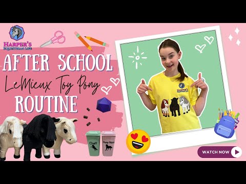 After School LeMieux Toy Pony Routine 🐴✨ | You Won’t Believe What Daisy Picked to Do!
